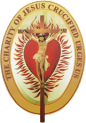 Daughters of Charity of St. Vincent De Paul Hospital logo